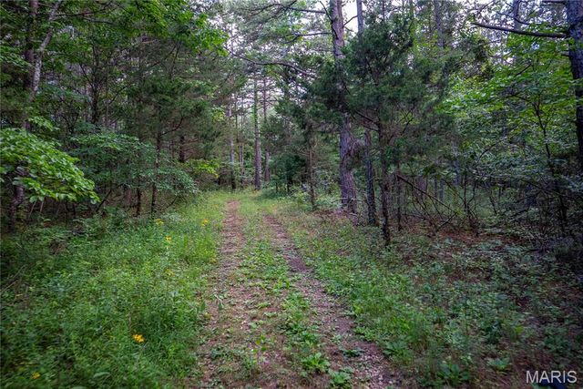 28094 BCR 853, Marquand, MO 63655