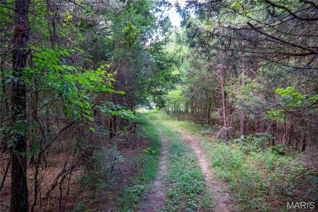 28094 BCR 853, Marquand, MO 63655