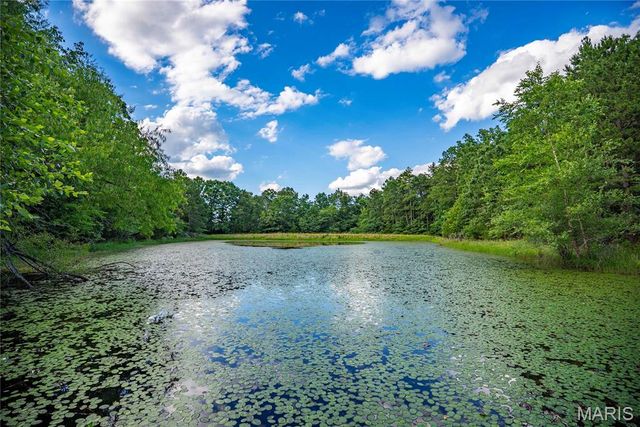 28094 BCR 853, Marquand, MO 63655