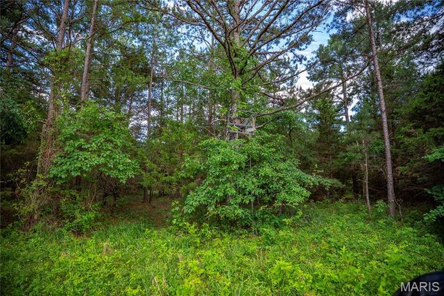 28094 BCR 853, Marquand, MO 63655