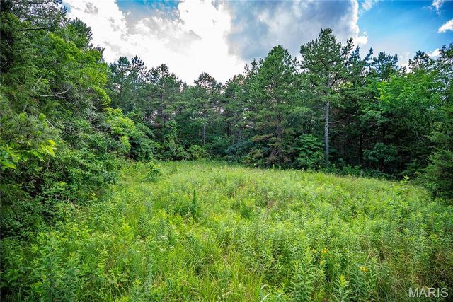 28094 BCR 853, Marquand, MO 63655