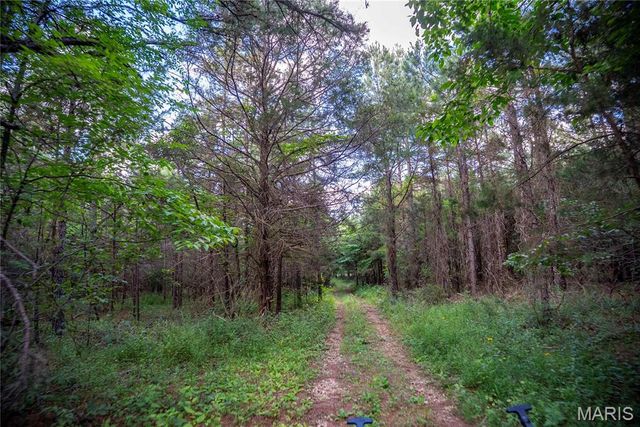 28094 BCR 853, Marquand, MO 63655