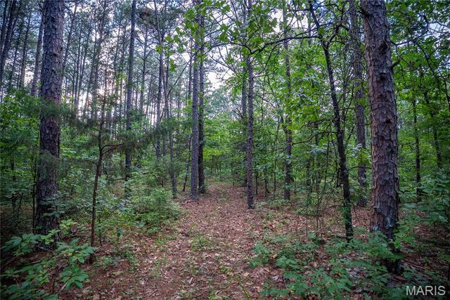 28094 BCR 853, Marquand, MO 63655
