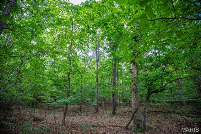 28094 BCR 853, Marquand, MO 63655