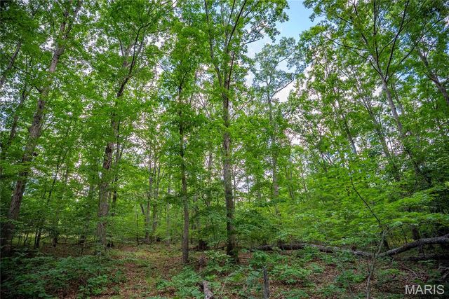 28094 BCR 853, Marquand, MO 63655