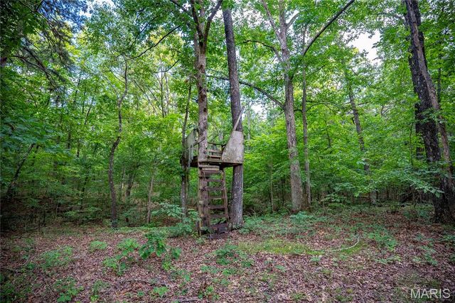 28094 BCR 853, Marquand, MO 63655