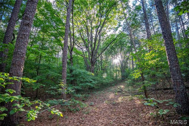 28094 BCR 853, Marquand, MO 63655