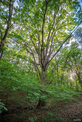 28094 BCR 853, Marquand, MO 63655