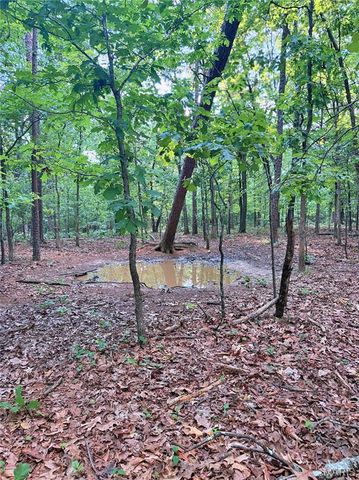 28094 BCR 853, Marquand, MO 63655