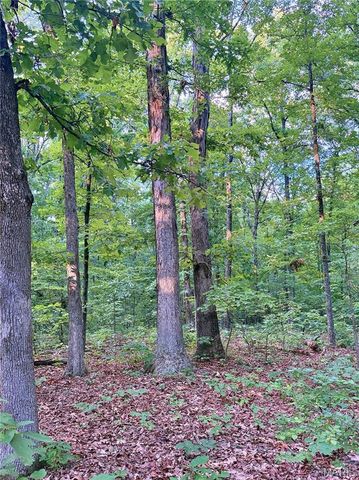 28094 BCR 853, Marquand, MO 63655