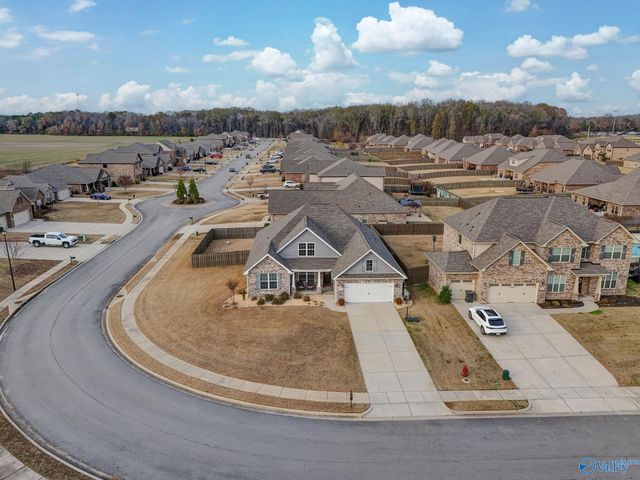 217 Willow Bank Circle, Decatur, AL 35603