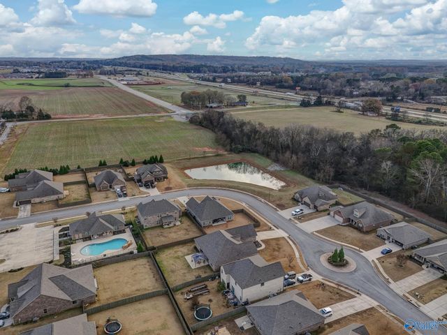 217 Willow Bank Circle, Decatur, AL 35603