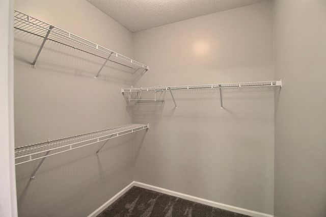 845 MCFERRIN LN, Collierville, TN 38017