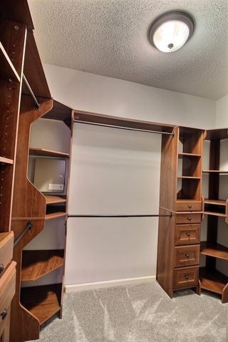 845 MCFERRIN LN, Collierville, TN 38017