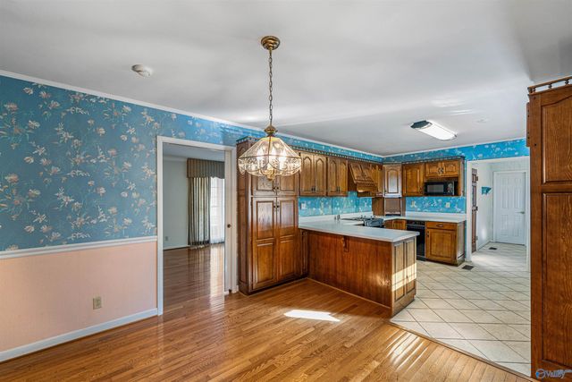 167 Marshall Road, Rainsville, AL 35986