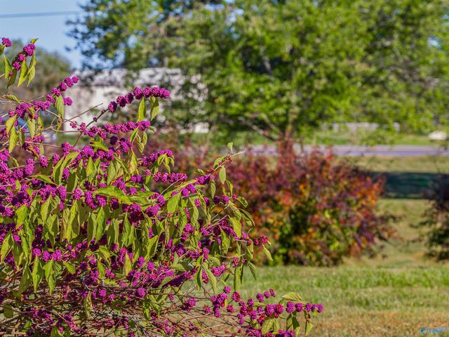 167 Marshall Road, Rainsville, AL 35986