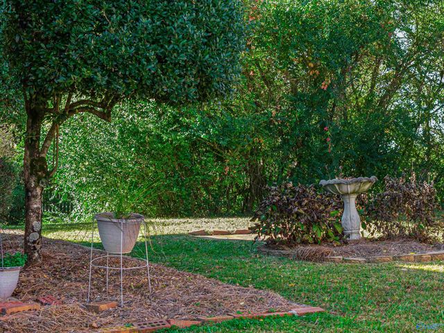 167 Marshall Road, Rainsville, AL 35986