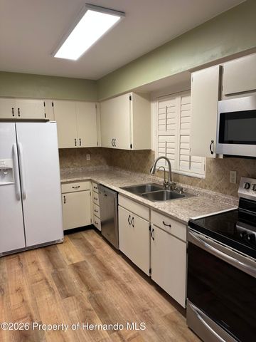 1117 Newhope Road, Spring Hill, FL 34606