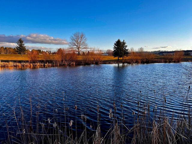 9901 W January Dr, Cheney, WA 99004
