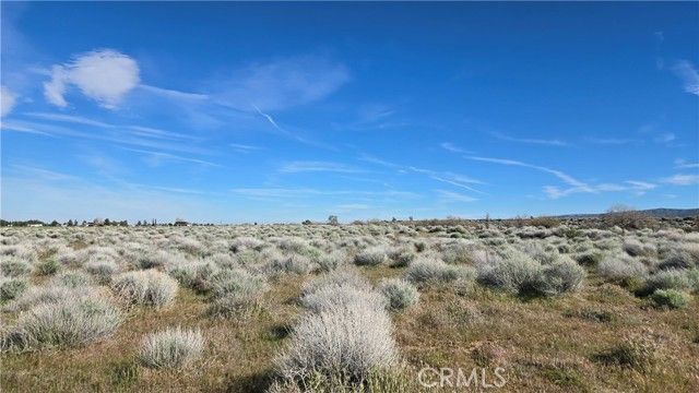 0 Ave C vicinity 264th St W, Fairmont, CA 93536