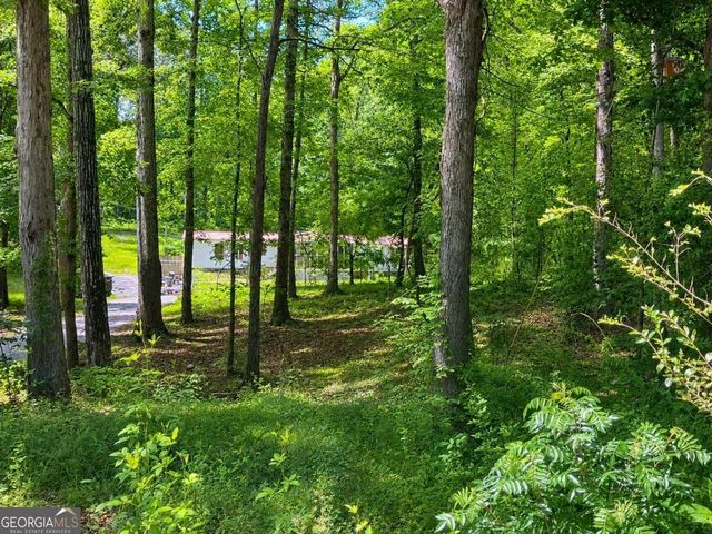 400 Kellogg Drive, Colbert, GA 30628