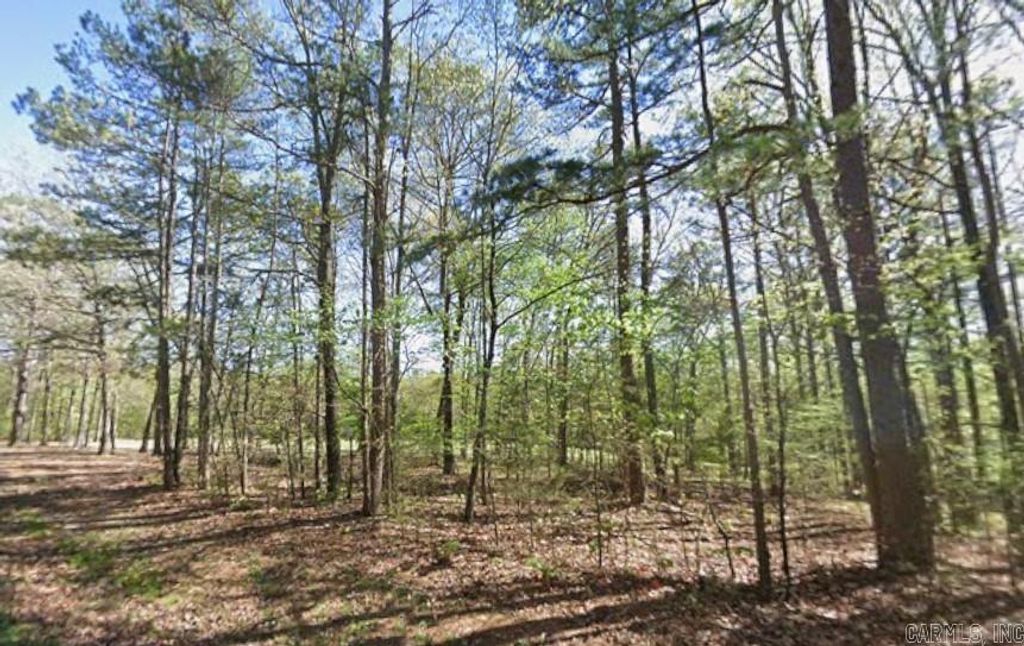 0 Castle Ridge Heights, Fairfield Bay, AR 72088