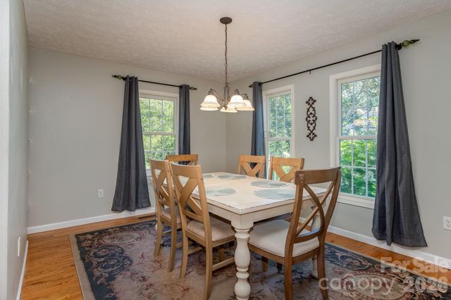 17 Squires Lane, Candler, NC 28715