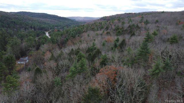 5769 State Route 97, Narrowsburg, NY 12764