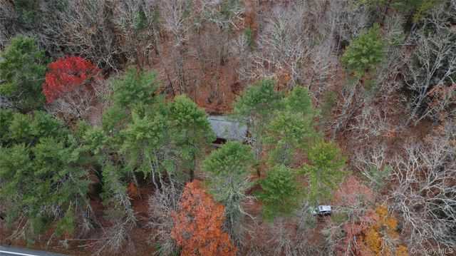 5769 State Route 97, Narrowsburg, NY 12764