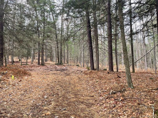 5769 State Route 97, Narrowsburg, NY 12764