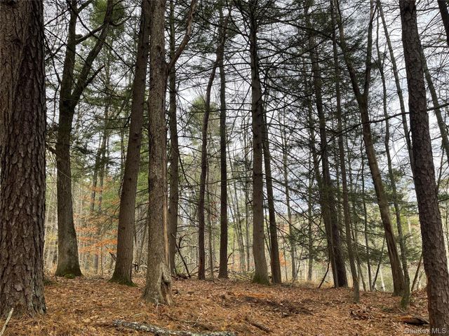 5769 State Route 97, Narrowsburg, NY 12764