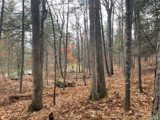 5769 State Route 97, Narrowsburg, NY 12764