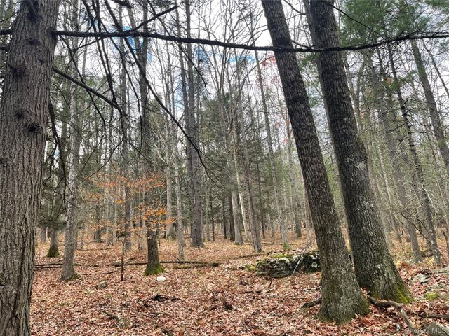 5769 State Route 97, Narrowsburg, NY 12764