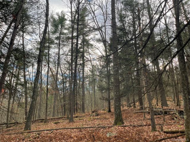 5769 State Route 97, Narrowsburg, NY 12764