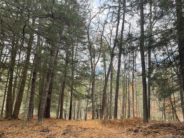 5769 State Route 97, Narrowsburg, NY 12764