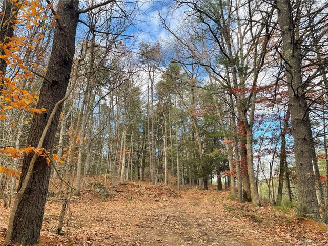 5769 State Route 97, Narrowsburg, NY 12764