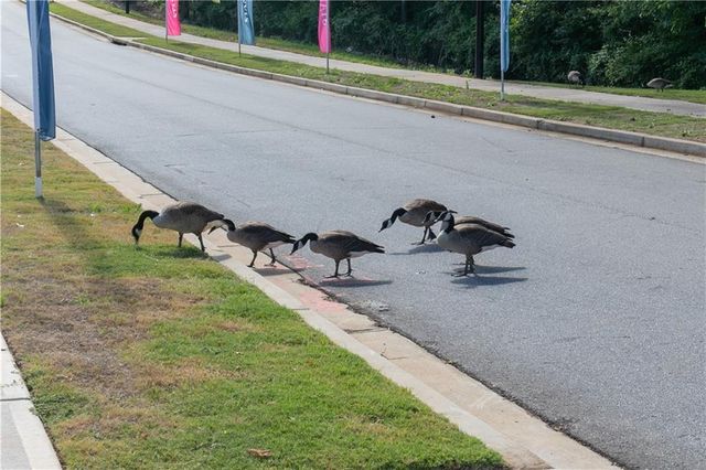 321 Brighton Bend Lane, Acworth, GA 30102