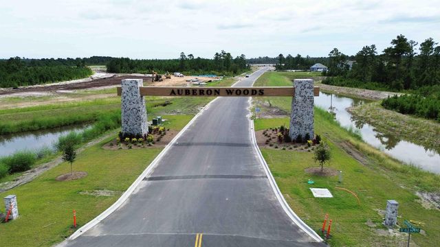1076 Bear Bone Dr, Conway, SC 29526