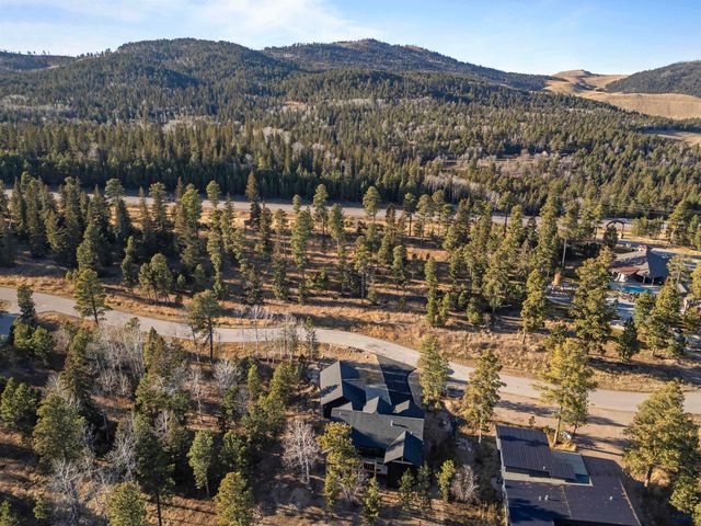 21306 EMBERS WAY, Lead, SD 57754