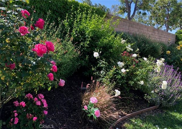 16 Wadsworth, Irvine, CA 92620