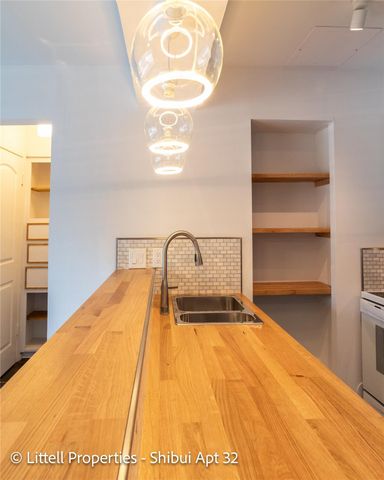 714 Woodrow Street 32, Houston, TX 77006