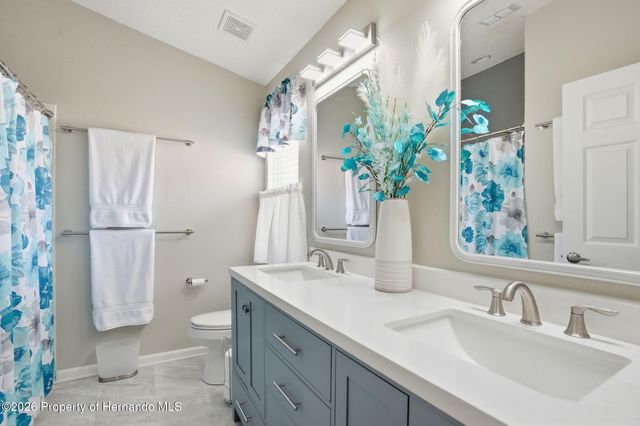 314 McIntosh Court, Spring Hill, FL 34609