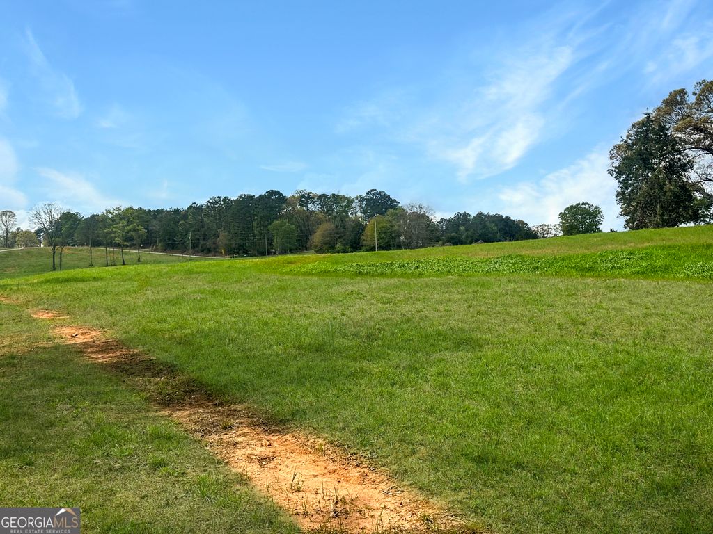961 Gooseneck Road LOT 3, Eastanollee, GA 30538 — photo 3