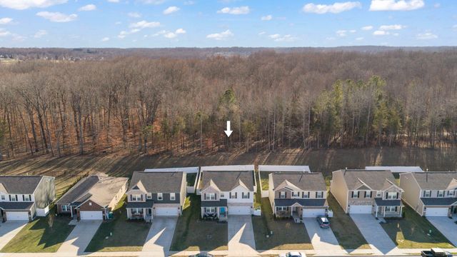 301 Brook Ave, White House, TN 37188