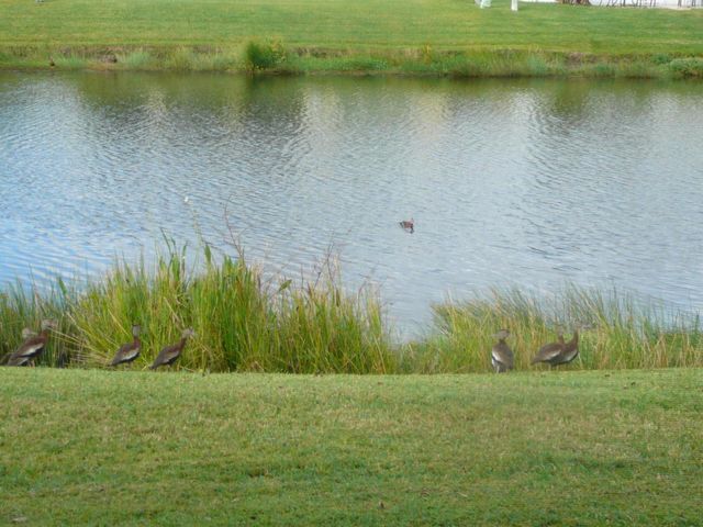 6238 Alexandria Circle, Fort Pierce, FL 34982