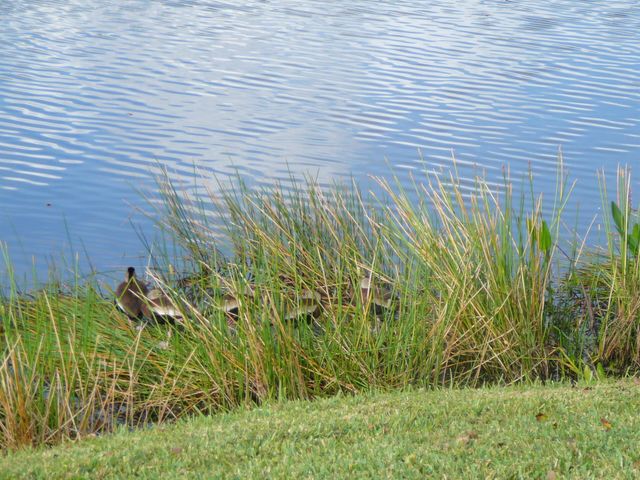 6238 Alexandria Circle, Fort Pierce, FL 34982