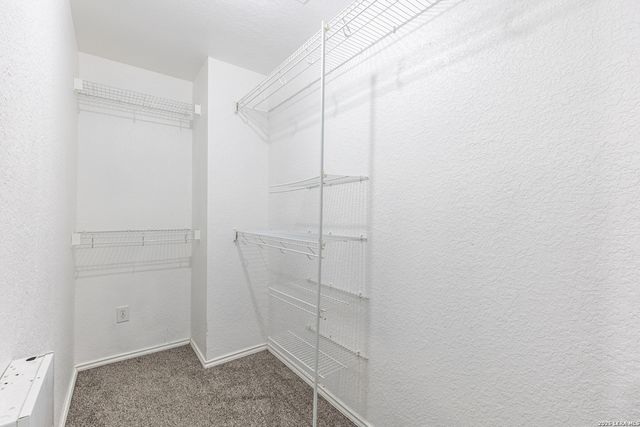 7731 Mesquite Farm, San Antonio, TX 78239