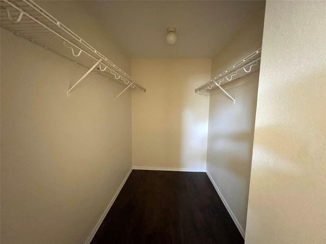 125 Dandelion LOOP, Kyle, TX 78640