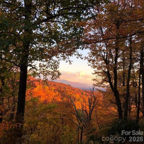 10 Camp Elliott Road, Black Mountain, NC 28711