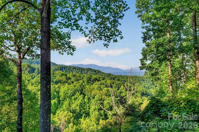 10 Camp Elliott Road, Black Mountain, NC 28711